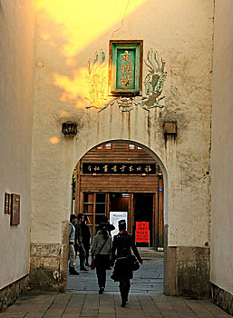 art universities in germany